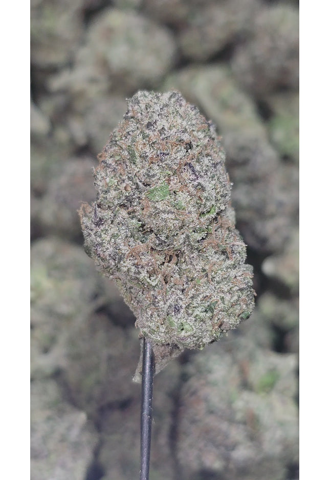 Rainbow Gasoline 35% Thca (RARE STRAIN) New Grow
