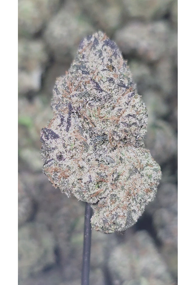 AfGooey 35% Thca MED