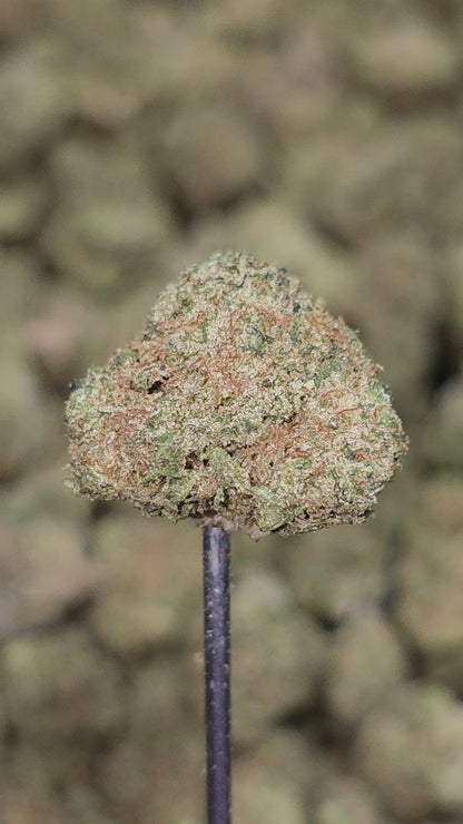 OGKB 35% Bulk Smalls