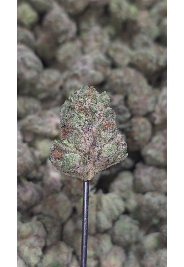 London Pound Cake Smalls 34% THCa