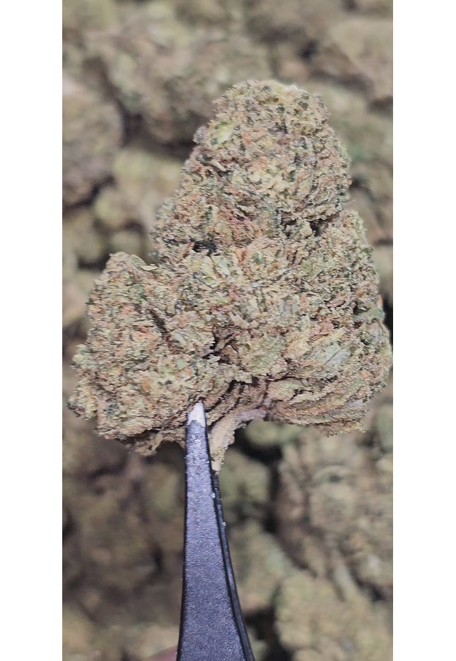Lemon Drop 32% Bulk