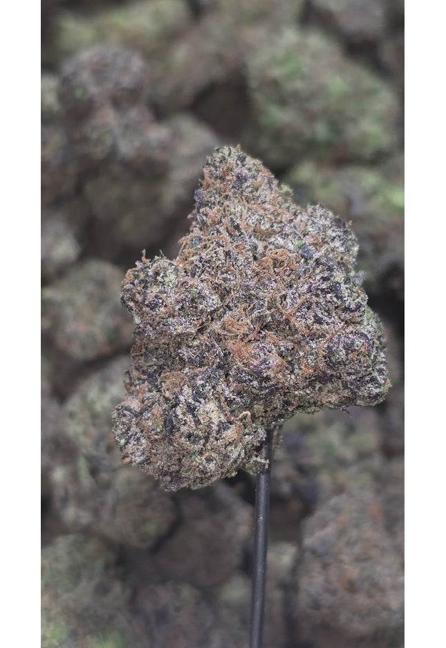 Gushers 36%  Thca Bulk