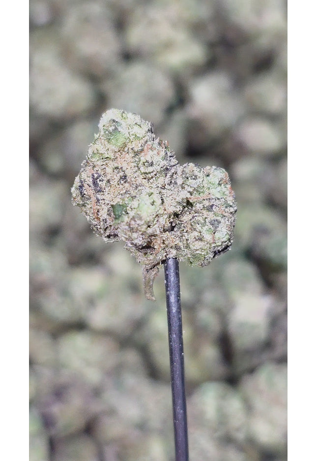 Grape Candy 34% THCa Smalls Bulk