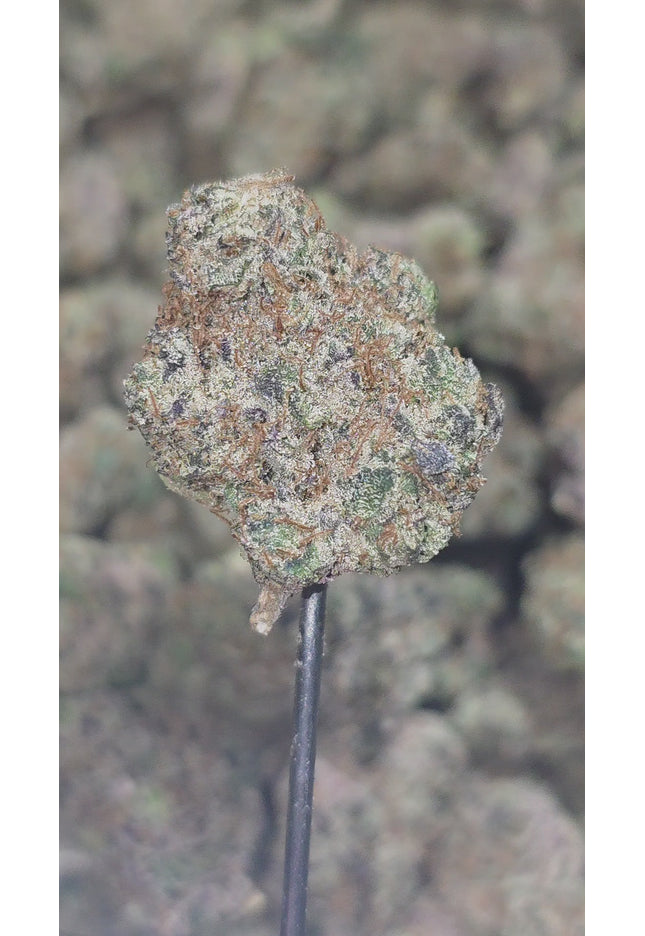 Private Reserve Med 35% Thca