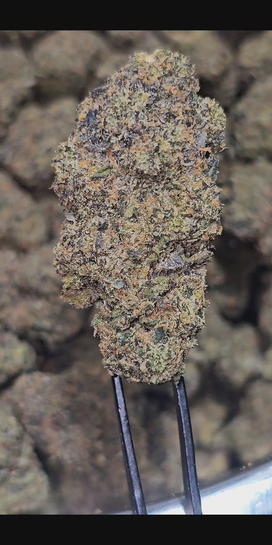Kandi Kamikaze (RARE STRAIN) 34% THCA