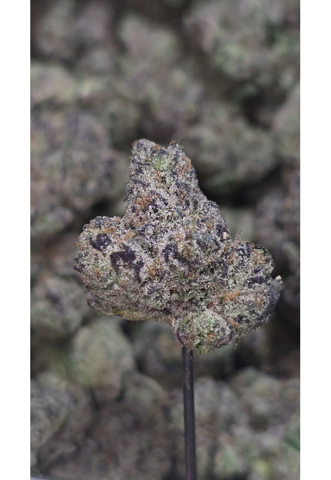 Gushers 36%  Thca Bulk
