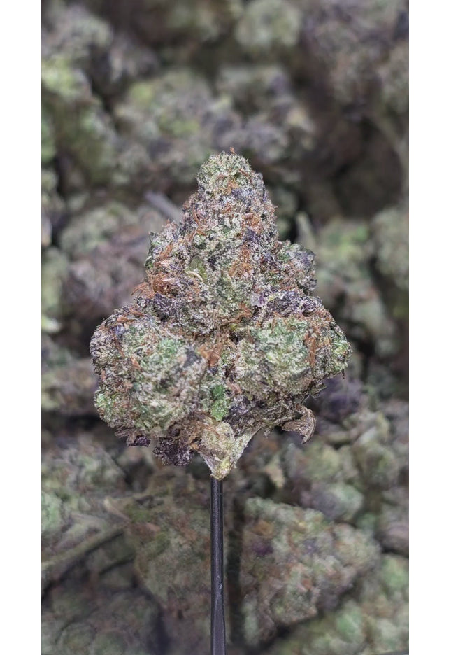 Rainbow Gasoline 35% Thca (RARE STRAIN) New Grow