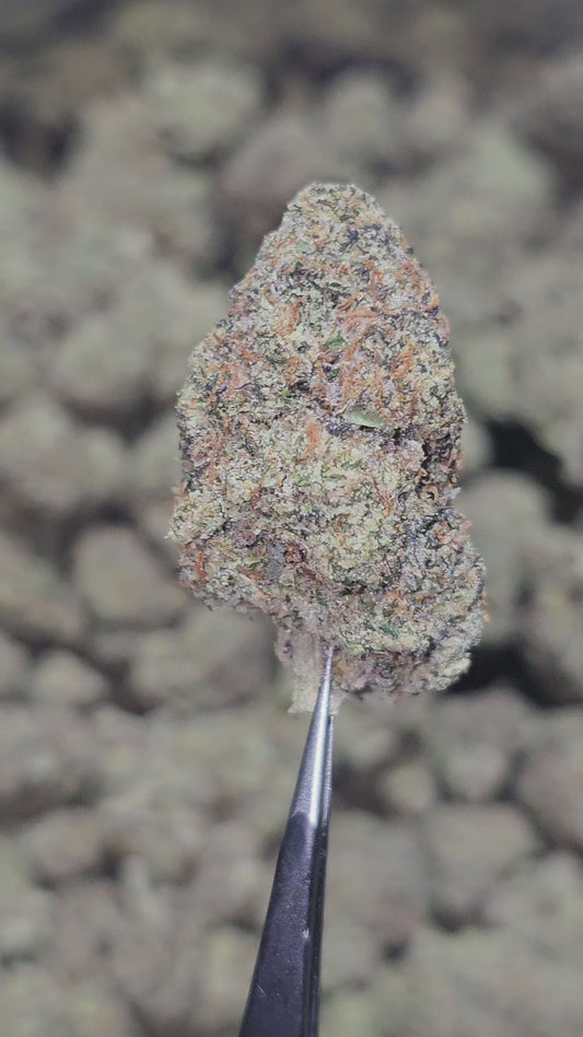 Pipe Dream 35% THCa