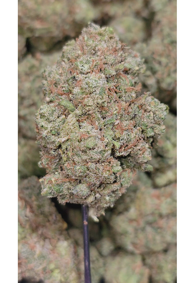 Golden Goat 35% Thca