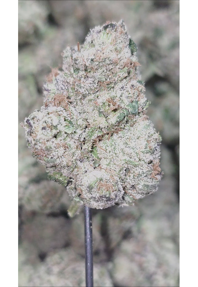 MK Ultra 35 % Thca Bulk