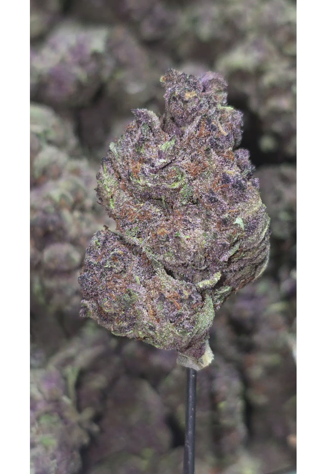 Jelly Slapz 32% THCa BULK