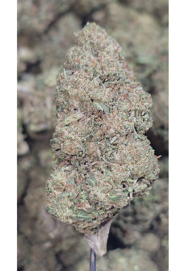 Mr Nasty 33% THCa Bulk