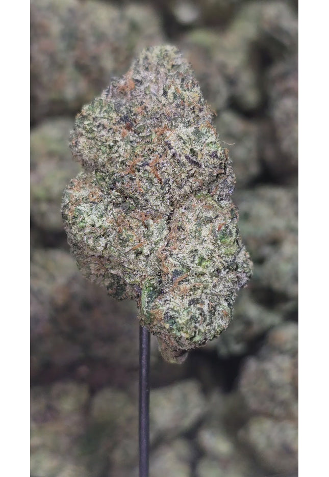 Purple Urkle 35% Thca