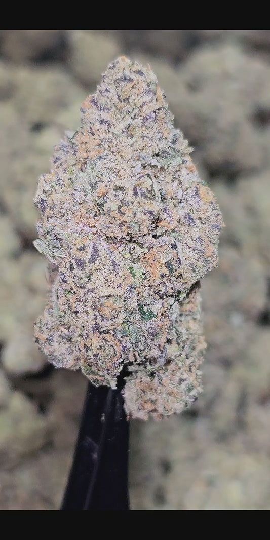 Texada Time Warp 35% Thca (RARE STRAIN)