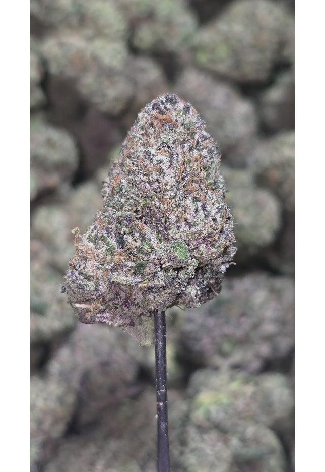 Bruce Banner 36% Thca