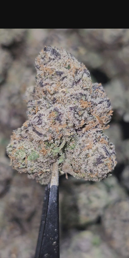 AfGooey 35%  Thca