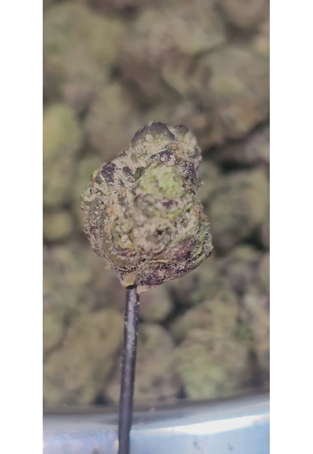 Rare Darkness 35% THCA Smalls RARE STRAIN Bulk