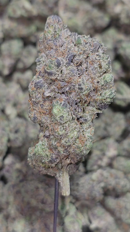 Afghan Kush 32% Thca Bulk