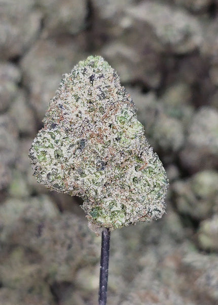 purple and green flower buy online best quality