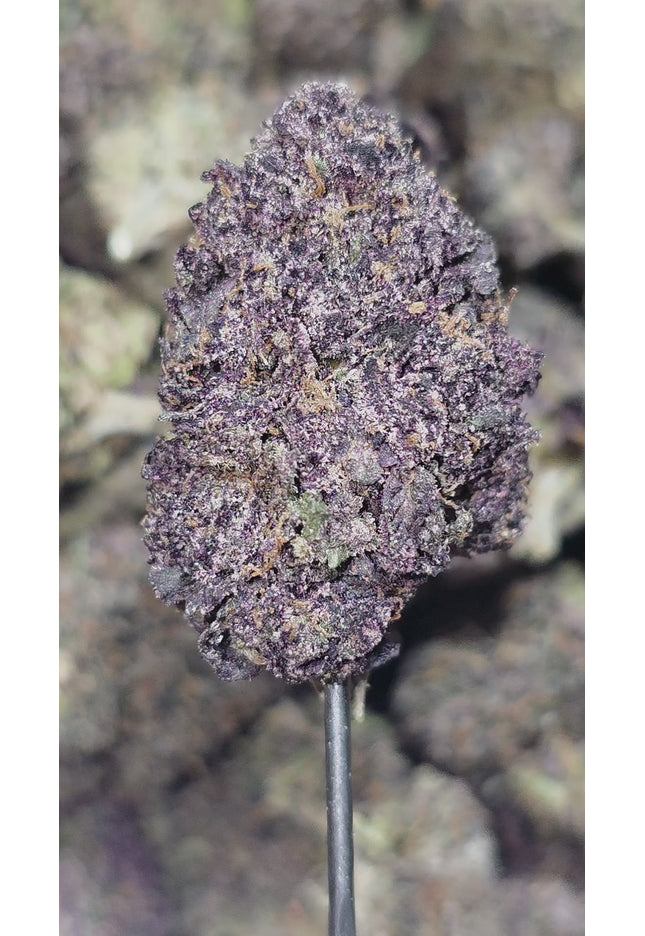 Grandaddy Purp 36% Thca Bulk