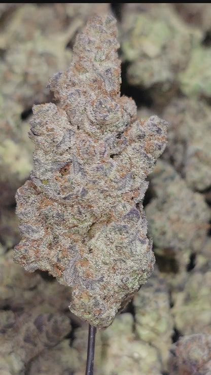 Sweet Island Skunk 36% Thca Bulk