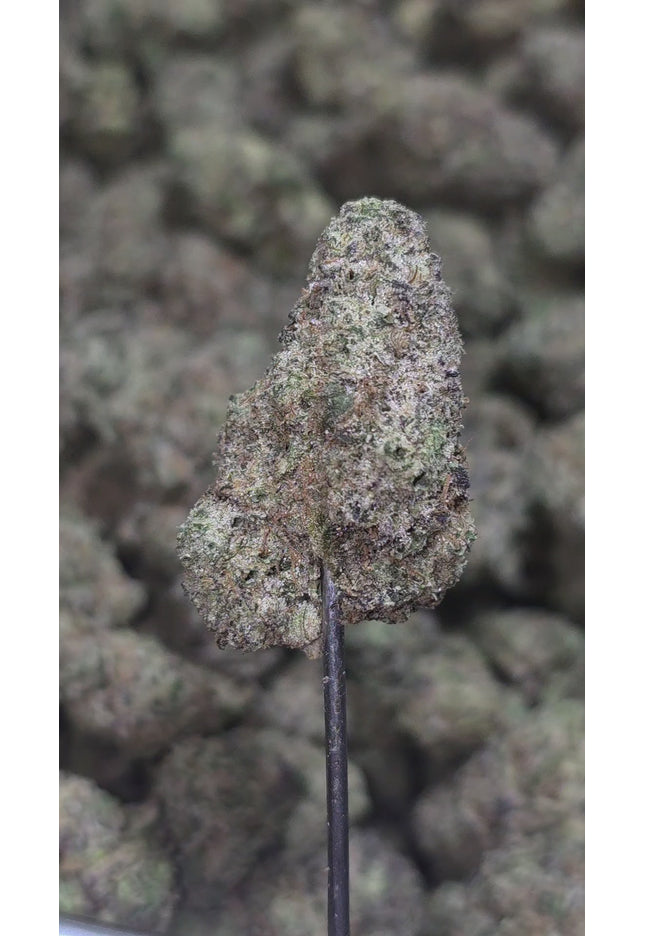 Funk Master 35% THCA Medium/Small Mix