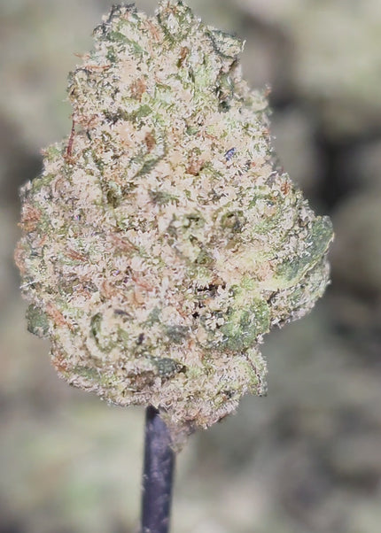 Discount THCa hemp flower exotic wholesale online
