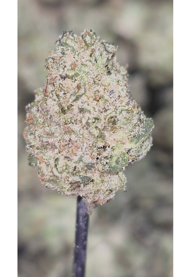 Discount THCa hemp flower exotic wholesale online