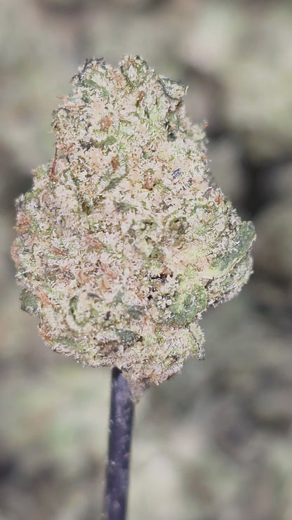 Skywalker OG Smalls 33% THCa Bulk