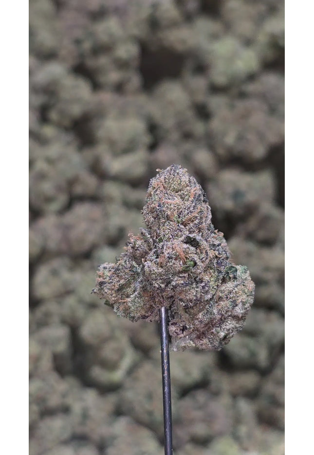 Golden Fire OG 35% Thca