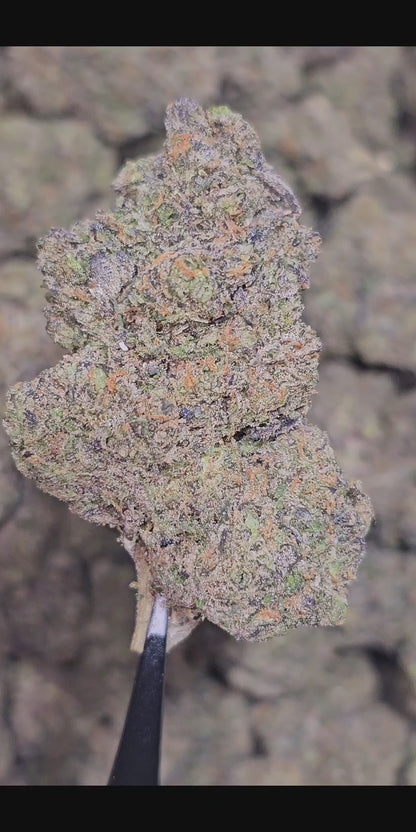 Choco Latto 35% Thca