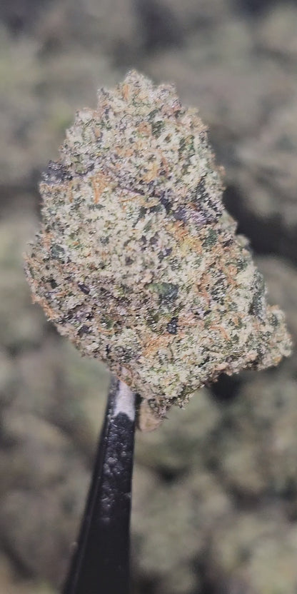 Pushpop 35% Thca