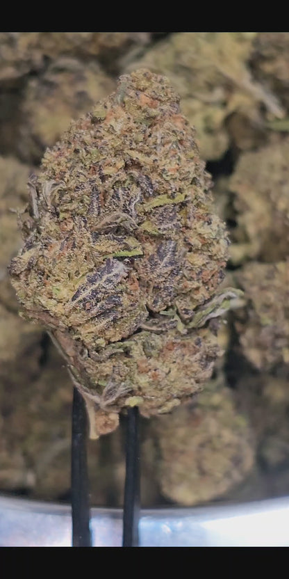 Chocolope 31% Thca