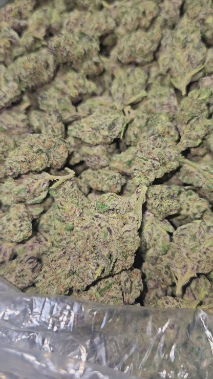 Garlic Icing 34% THCa