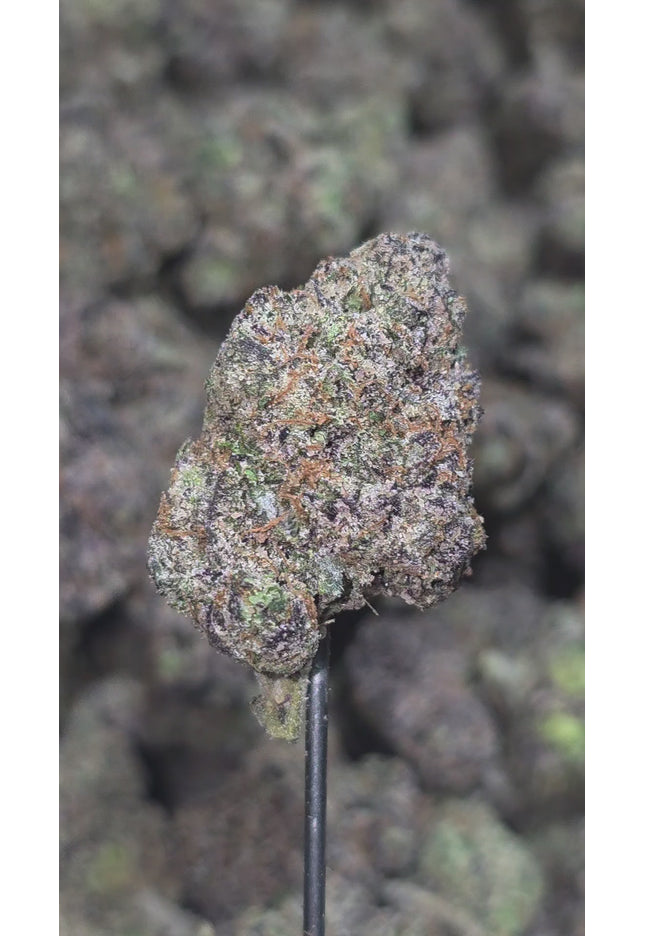 Gushers 35%  Thca