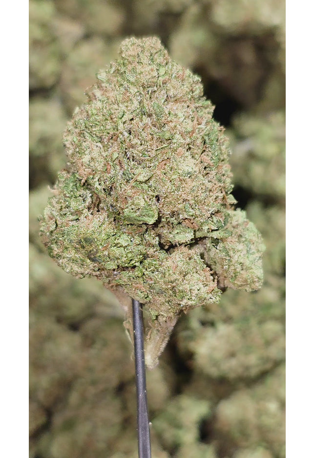 F1 29.3% Thca Bulk