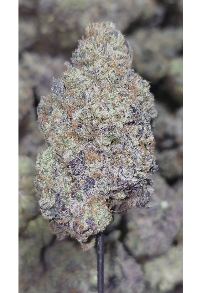 Sour Tangie 35% Thca (RARE)
