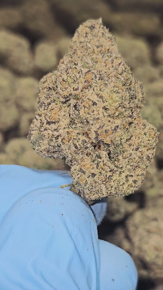 Walkn N LA 36% THCa RARE