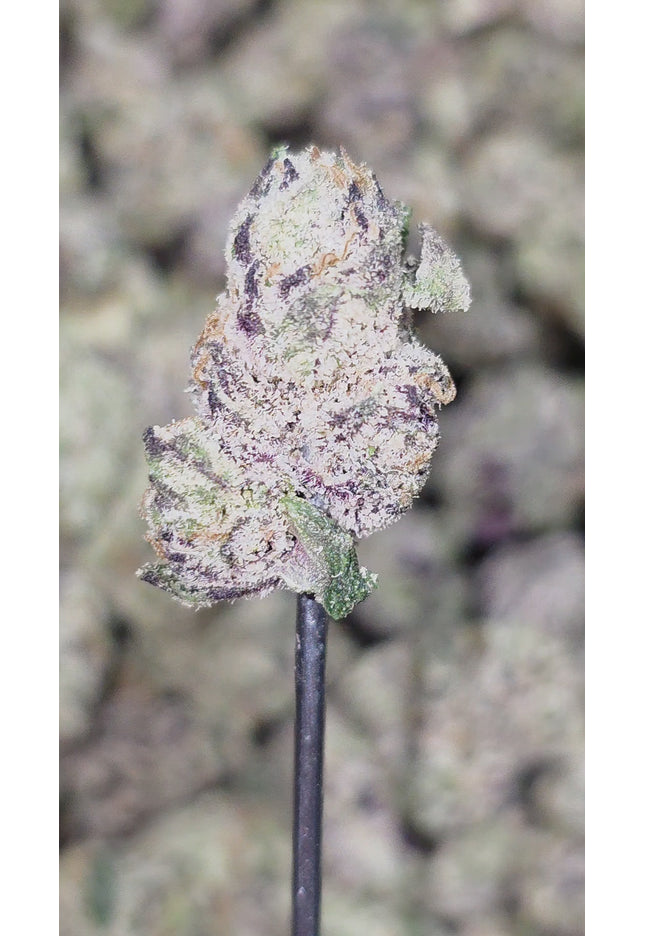 Northern Lights 33% Smalls Bulk
