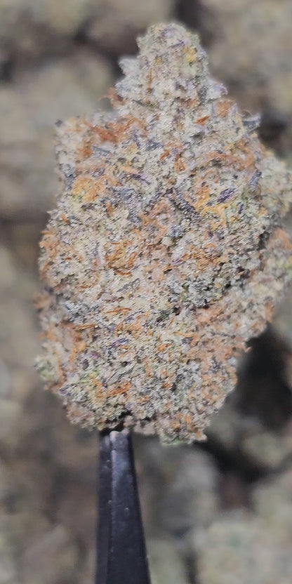 Bubble Up 34% THCA