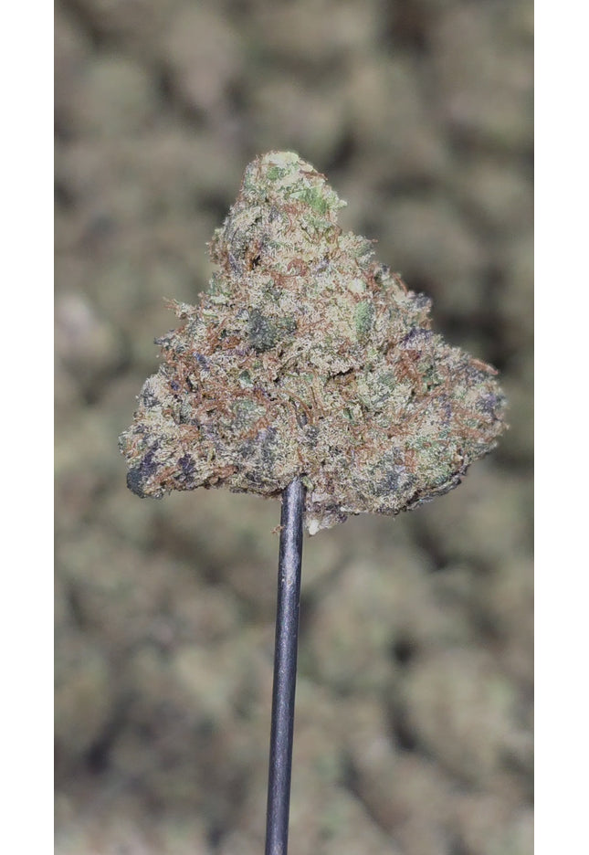 Pitbull Med 35% Thca