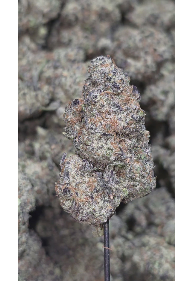 Slurricane 34%  THCa