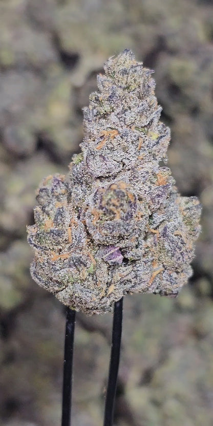 Durban Poison 36%  Thca