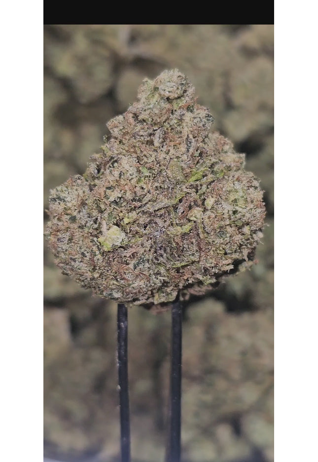 Pineapple Passion 31% Thca