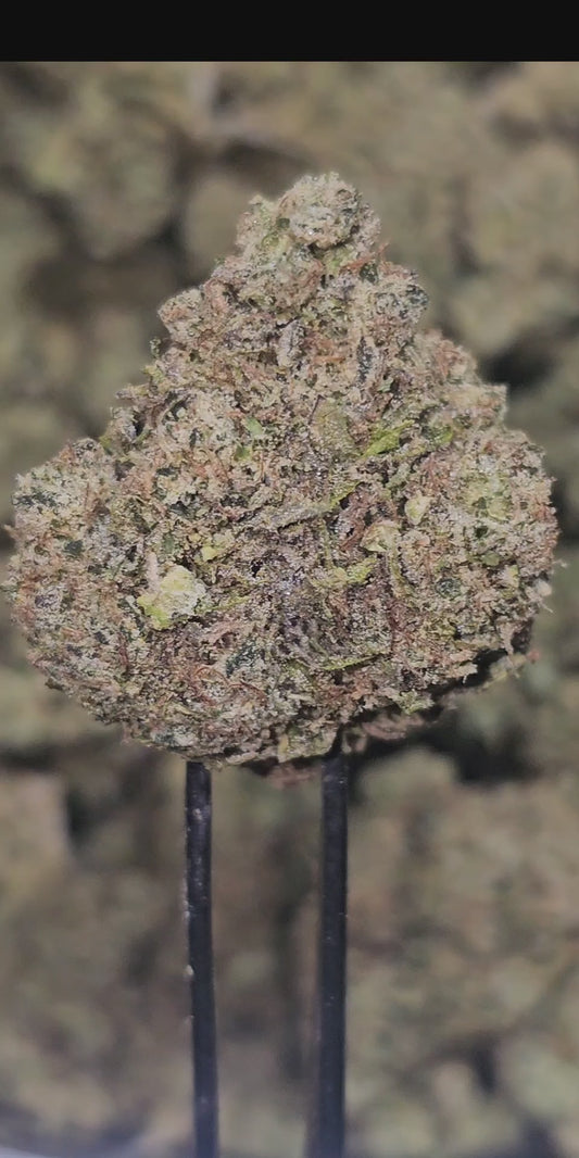 Pineapple Passion 31% Thca