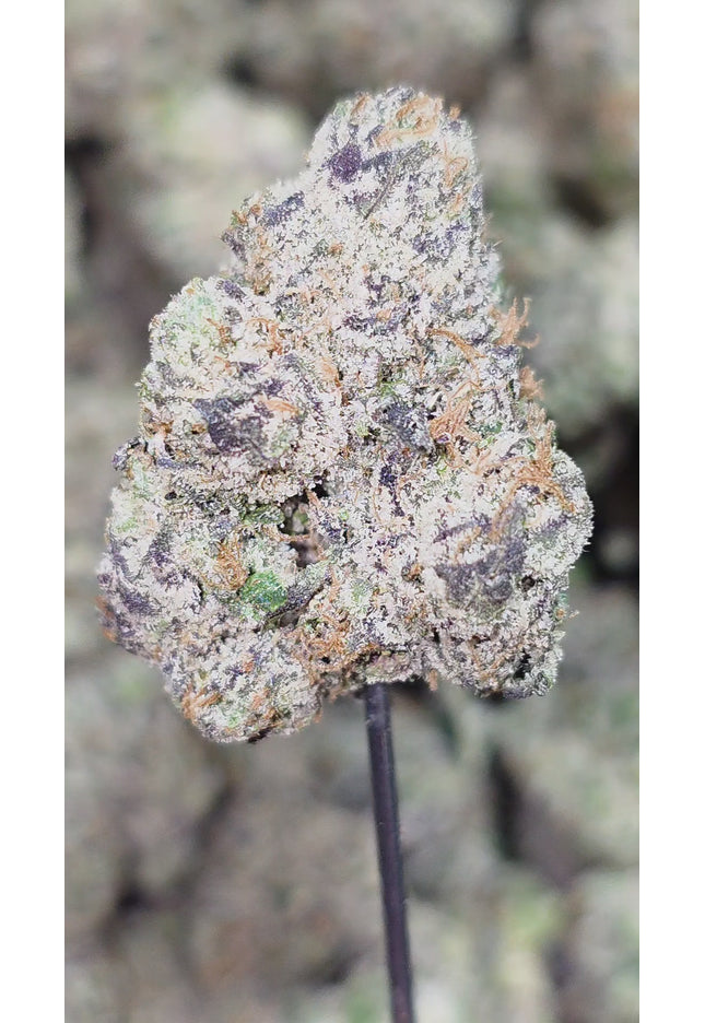 Pink Panther 35% Thca Bulk