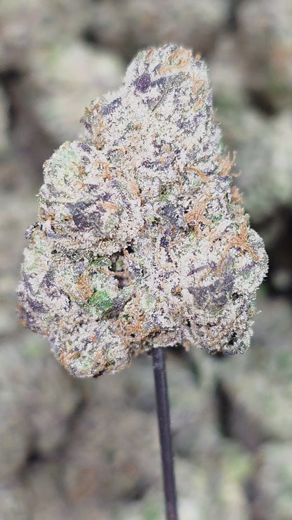 Pink Panther 35% Thca Bulk