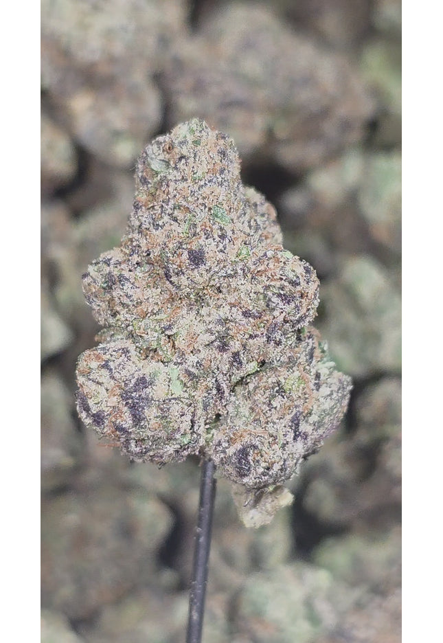 MAC 10 34% THCA