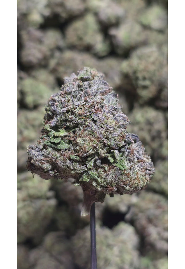 Blueberry Gas 34% THCA