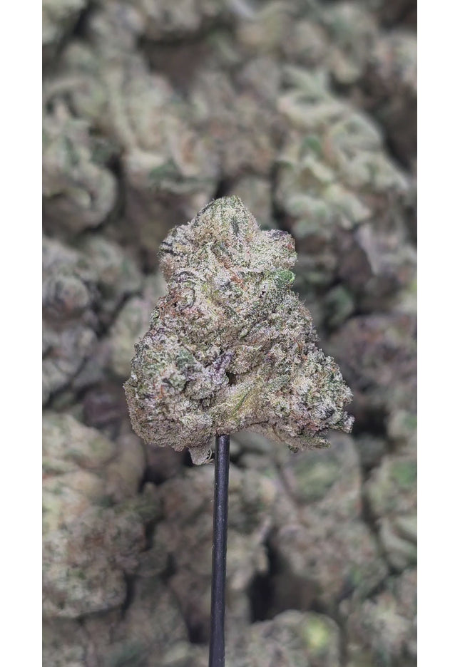 Blue Zushi Med/Sm Mix 36% THCa  Bulk